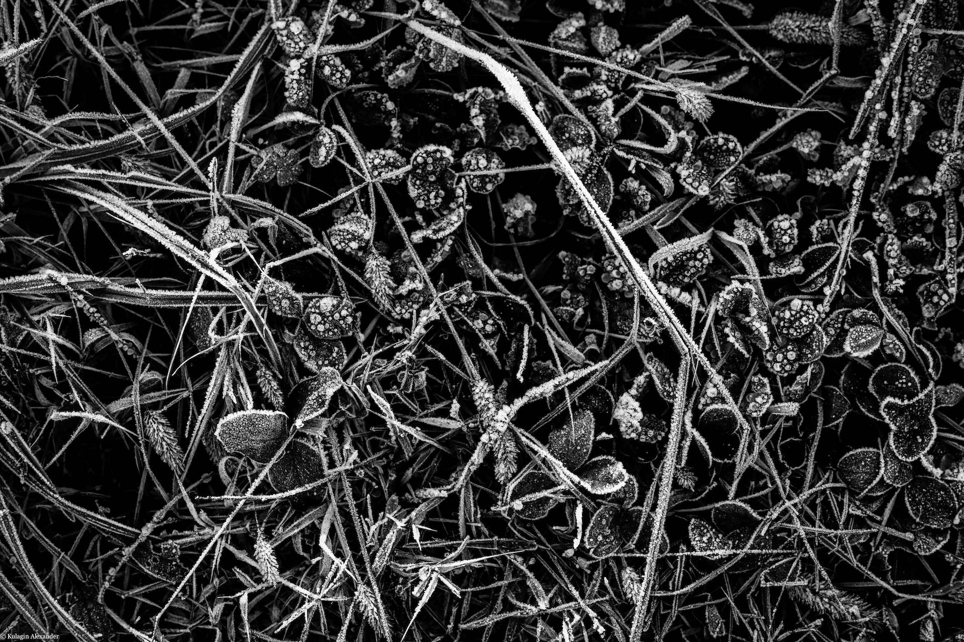 alexanderkulagin Upload image Ita1811 Masters Of Photography